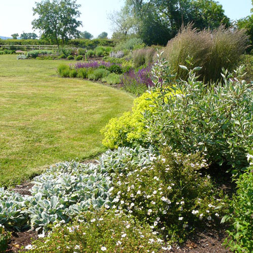 Contemporary Country Garden Flowering shrubs and perennials
