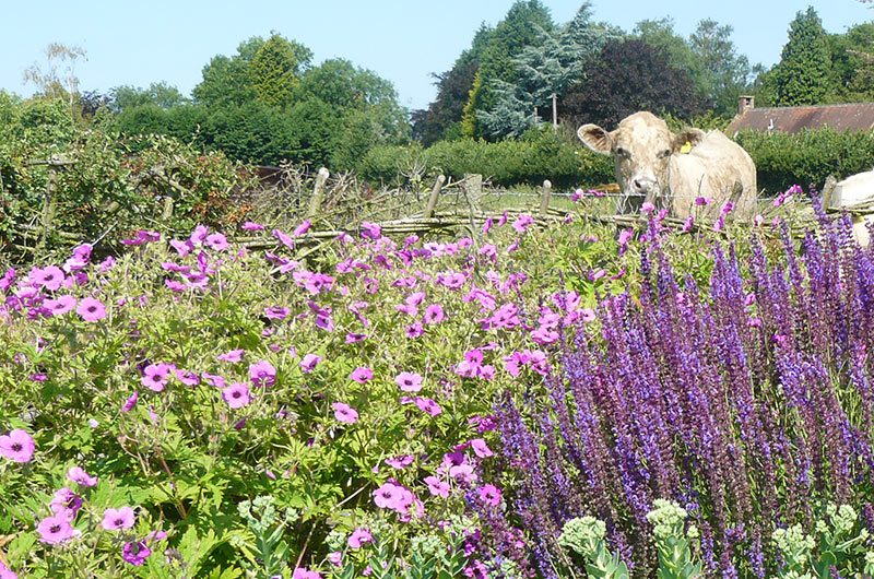 Garden designer award garden