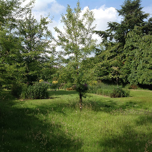 French style Garden