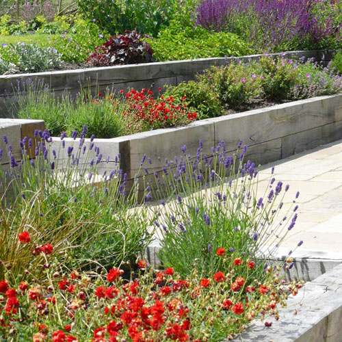 Contemporary Country Garden Oak sleepers raised beds