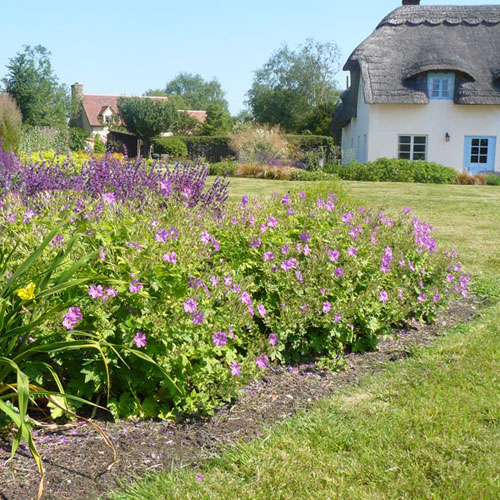 Contemporary Country Garden Flowering shrubs, perennials and grasses