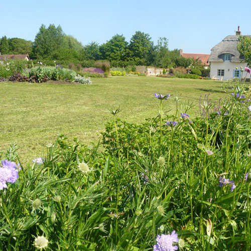 Contemporary Country Garden Extensive planting and fruit trees