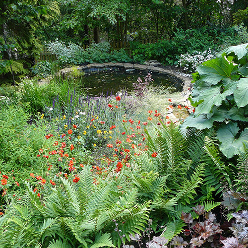 Wildlife Pond and Stream Garden