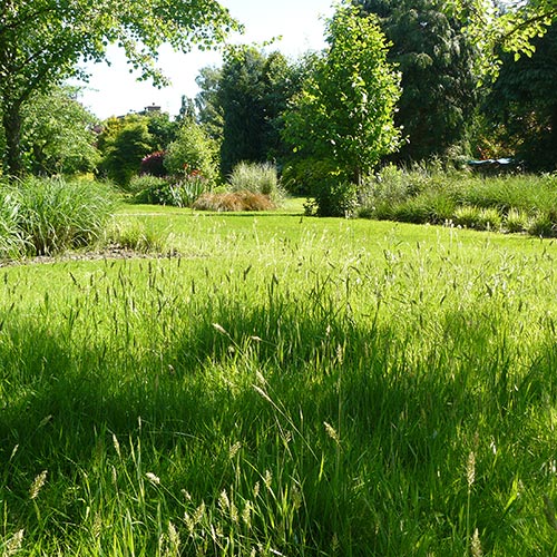 French style Garden