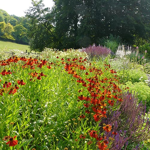 Buckinghamshire Country Garden