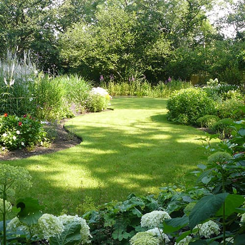 Woodland Garden island beds