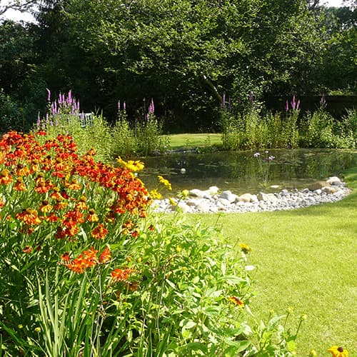 Woodland Garden with cobble pond beach