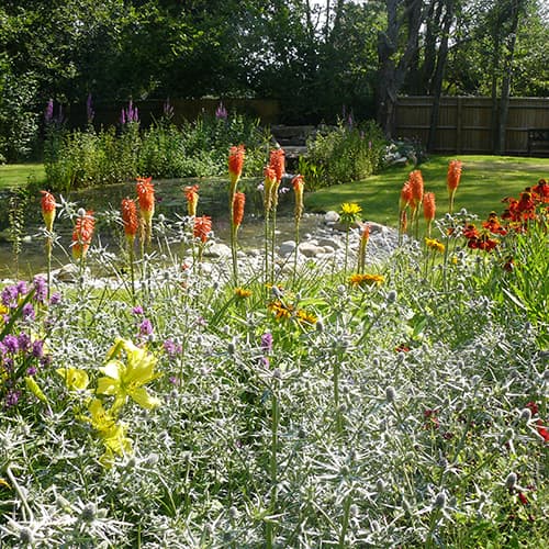 Woodland Garden with pond and waterfall