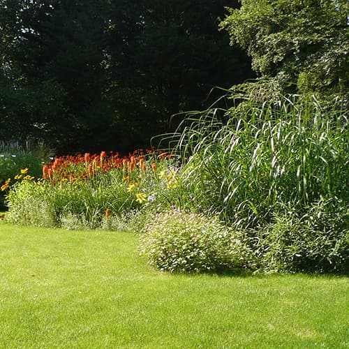 Woodland Garden with colourful planting beds